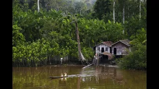 Caminhos da Reportagem | Marajó além do cartão postal