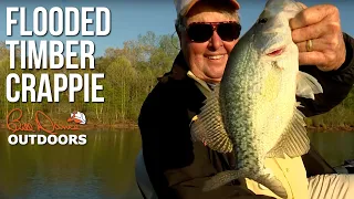 Flooded Timber Crappie | Bill Dance Outdoors