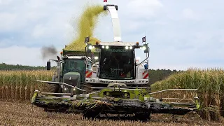 Mais 2022 : The ALL WHITE Claas Jaguar / Westhoff Agrar / Claas Xerion / Fendt 930 / Maishäckseln