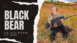 Alaska Black Bear with .338 Lapua #bearhunt