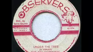 The 4th Harmonic - Under The Tree