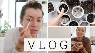 VLOG | 🌱předpěstování, nové obočí & ergoterapie | kamčalinda