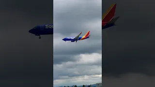 Southwest Boeing 737 CLOSE UP LANDING at LAX/KLAX - Plane Spotting