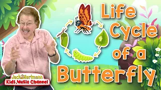 Life Cycle of a Butterfly | Metamorphosis Song for Kids | Jack Hartmann