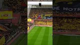 tifo Rc Lens vs Lille ,derby du nord