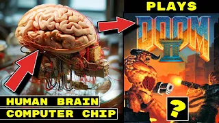 AI News is Getting *WEIRD* Human Brain Matter in Chips. OpenAI tutorial. Amazon unleashed it's AI.