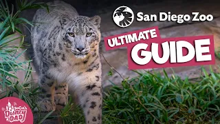 San Diego Zoo Full Tour 2022 | All Animals, Exhibits, Food & More