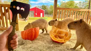 How to Farm Capybaras (For Meat)