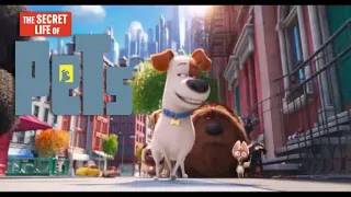 The Secret Life Of Pets (2016) Scene: "At The Dog Park."