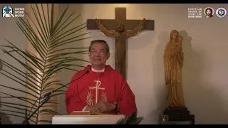 Homily By  Fr Jerry Orbos SVD - March 28 2021 Palm Sunday of the Lord's  Pa