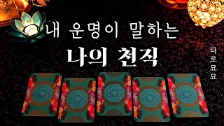 [타로] 내 운명이 말하는 나의 천직 #적성 #진로