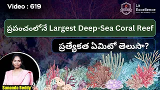 World’s Largest Deep-Sea Coral Reef || Telugu Current Affairs || Mana La Excellence || UPSC