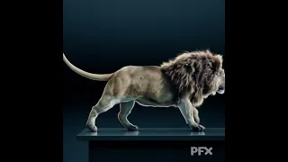 CGI Lion VFX Breakdown