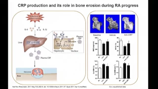 Ge Zhang | From Mechanistic Understandings to Precision Medicine