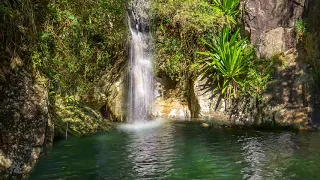 Som de Cachoeira e Pássaros para Relaxar e Dormir