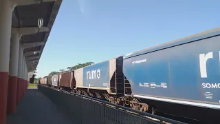 Mais um trem vazio chegando no pátio de ZFN/Fernandópolis