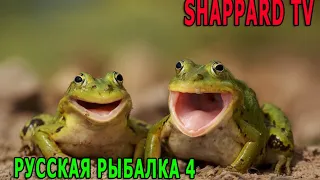 Русская рыбалка 4 🌎В поисках клева🦈РОЗЫГРЫШИ НАЖИВОК И БЛЕСЕН🔥