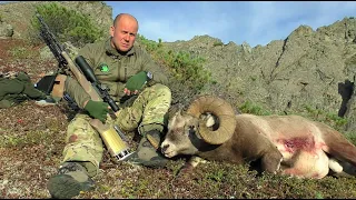 Снежный баран в Магаданской области. Горная охота Эдуарда Бендерского