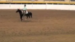 Duane and Wyatt (Outlaw Haidout) NWSS 2012