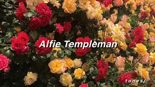 Yellow Flowers - Alfie Templeman