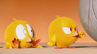 Onde está Chicky? 2023 | O jogo de bola | Desenhos Animados Infantil | Novos episódios