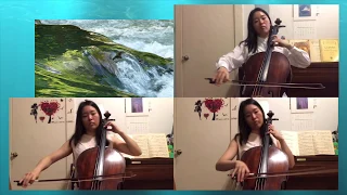 Die Moldau - Bedrich Smetana (cello trio version)