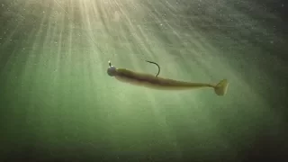 A Simple and Deadly Approach to Fishing Swimbaits