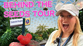 Disney World HIDDEN GEMS: EPCOT's Behind The Seeds Greenhouse Tour | The Land, Gift Idea