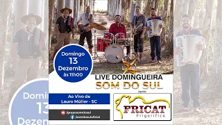 Live Domingueira - Grupo Som do Sul - ao Vivo de Lauro Muller