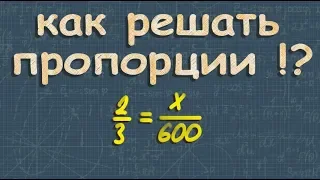 ПРОПОРЦИЯ 6 класс математика отношения и пропорции