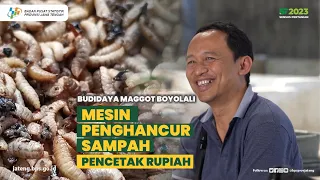 Budidaya Maggot Boyolali, Jawa Tengah