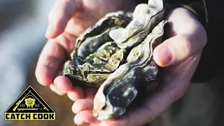 Oyster Farming [Catch Cook] Algoa Bay  Eastern Cape