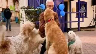 Из любви к собакам - промо программы на Viasat Nature HD
