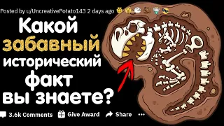 КАКОЙ ЗАБАВНЫЙ МАЛОИЗВЕСТНЫЙ ИСТОРИЧЕСКИЙ ФАКТ ВЫ ЗНАЕТЕ?