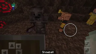 Piglin Brute VS Wither Skeleton With Netherite armor and Netherite Sword