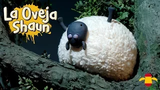 Los Ronquidos de Shaun - La Oveja Shaun HD