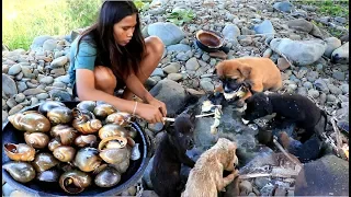 Survival skills - find snail cooking for dog  -  Eating delicious