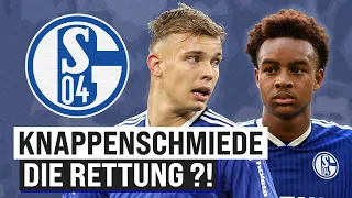 Schalke 04: Mit „Knappen“ statt „Malochern“ aus der Krise?!