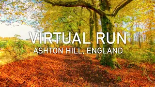 Virtual Run | Ashton Hill Plantation, Bristol in Autumn | 4K POV Treadmill Scenery