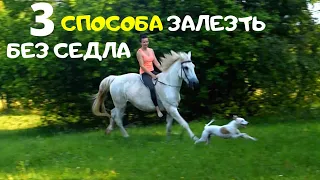 3 способа залезть на лошадь без седла. Шаг, рысь, галоп без седла