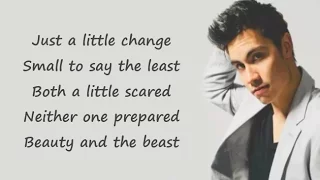 BEAUTY AND THE BEAST - Sam Tsui & Casey Breves (Lyrics)