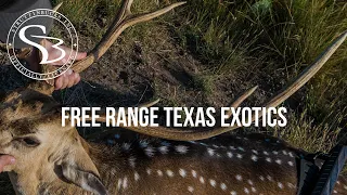 Hunting FREE RANGE EXOTICS in Texas