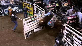 PBR Bucking Bull 44W Stone Sober