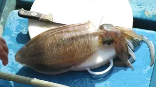 Corte de peixes vivos (chocos grandes) no mercado de frutos do mar Sai Kung em Hong Kong