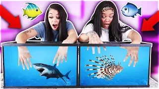 WHAT'S IN THE BOX CHALLENGE - UNDERWATER EDITION OCEAN ANIMALS!!