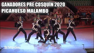 El picahueso malambo - Ganadores Pre cosquín 2020 (Homenaje a los granaderos) Sede junin