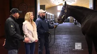 Meet a Special Yearling at Winstar Farms