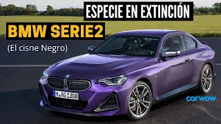 DEPORTIVO y PARA EL DÍA A DÍA: EL BMW "SERIO" 2 ES UNA ESPECIE EN EXTINCIÓN