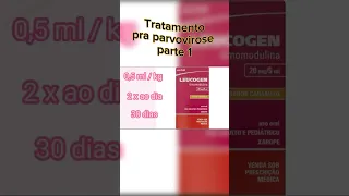 Tratamento pra Parvovirose ( Parte 1 )