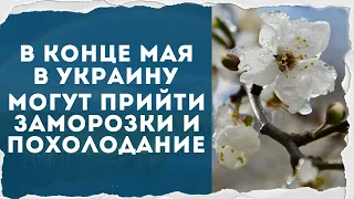 Погода в мае Украина: в конце месяца возможны заморозки и похолодание